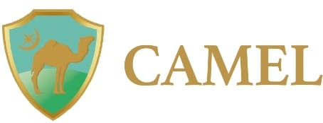 CAMEL　お金 第3の置き場